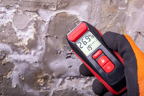 Best Office Mold Removal Services  in Waskom, TX