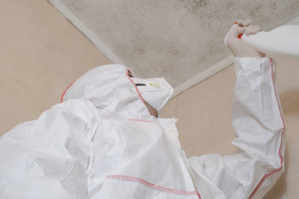 Best Black Mold Removal  in Waskom, TX