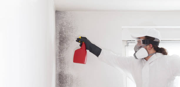 Certified Mold Removal in Waskom, TX