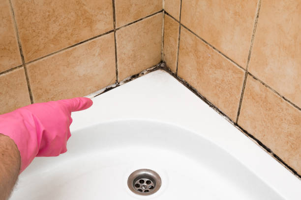 Best Mold Cleaning Services  in Waskom, TX